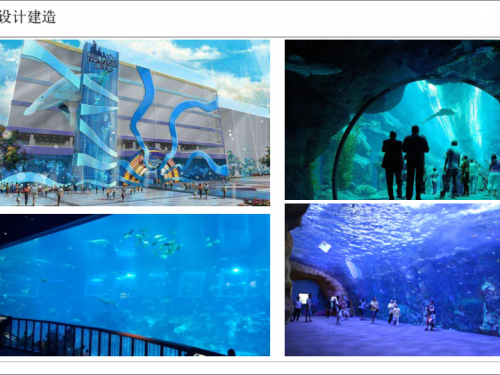 主题海洋馆